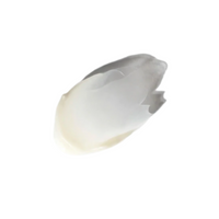 NT 青春儲蓄霜 FORM Restoring Face Cream 50ml